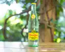 Topo Chico Mineral 355 ml