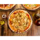 Bolognesa